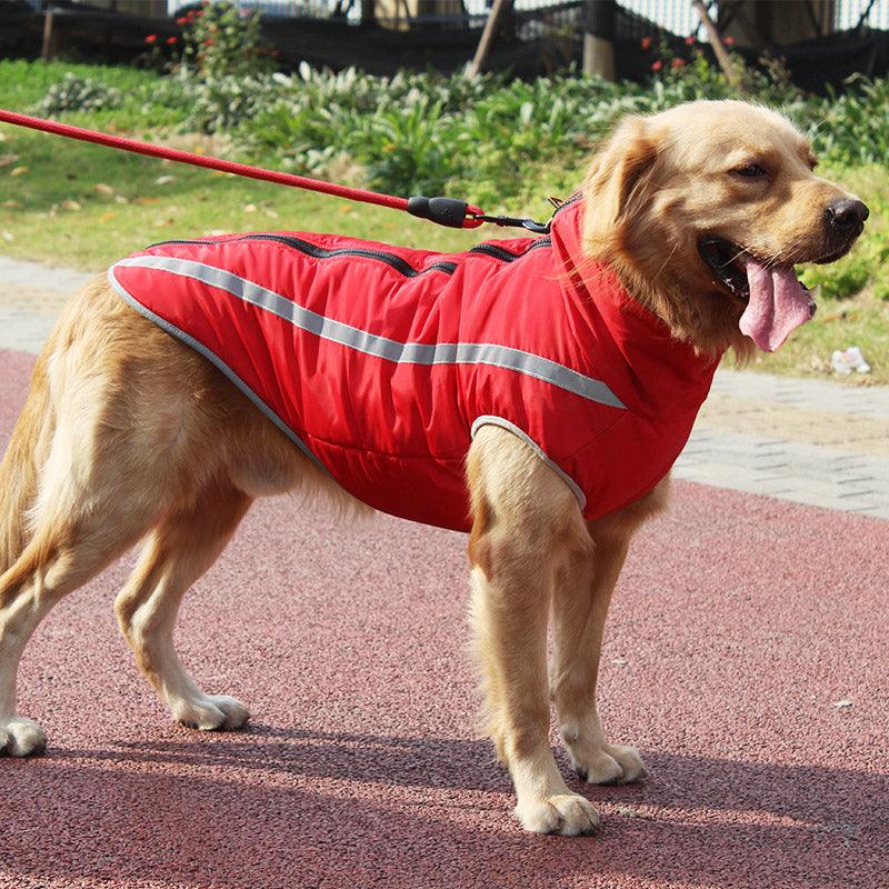 Ultra Cozy Windproof Dog Jacket-1