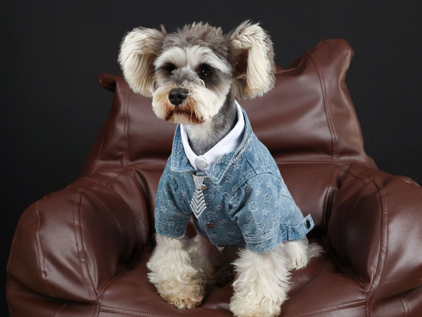 Pet Spring, Summer Presbyopia Denim Shirt