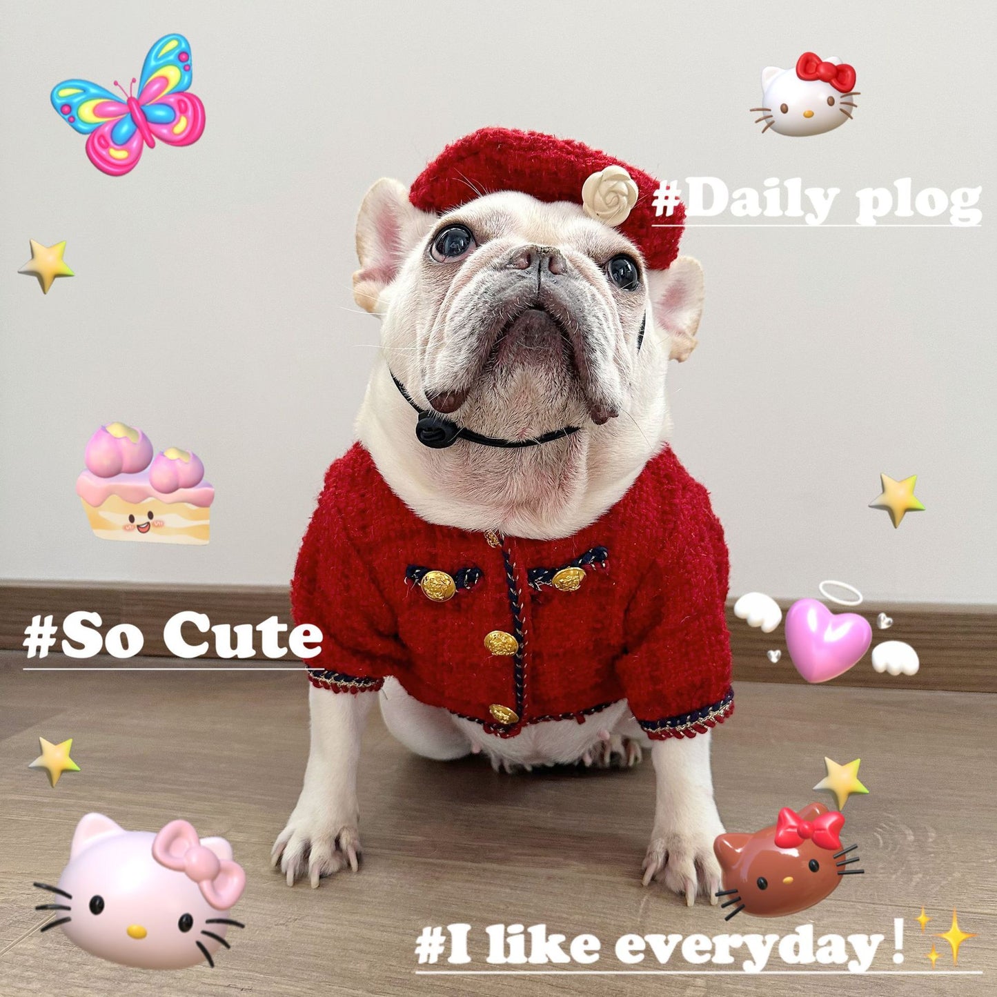 Classic Pet Style Jarre Aero Outfit For Dogs And Cats Winter, Fall