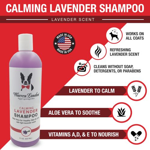 Lavender Shampoo by Warren London