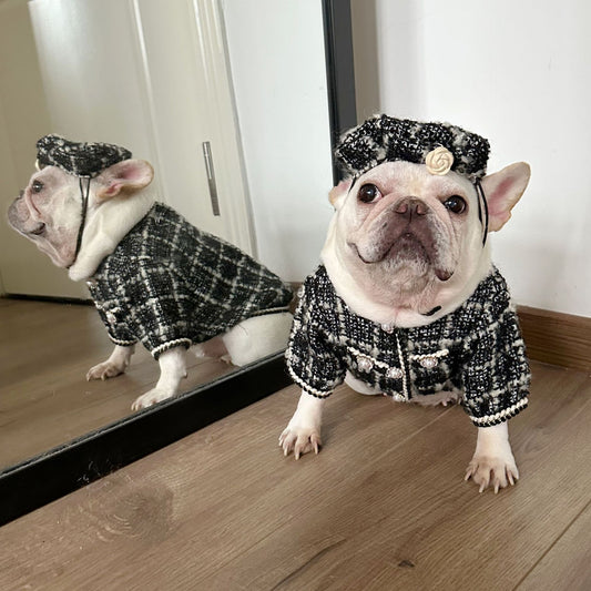 Classic Pet Style Jarre Aero Outfit For Dogs And Cats Winter, Fall