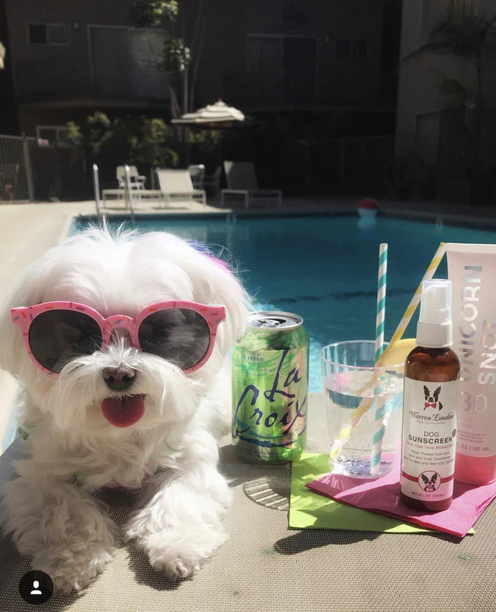 Dog Sunscreen With Aloe Vera Moisturizer by Warren London